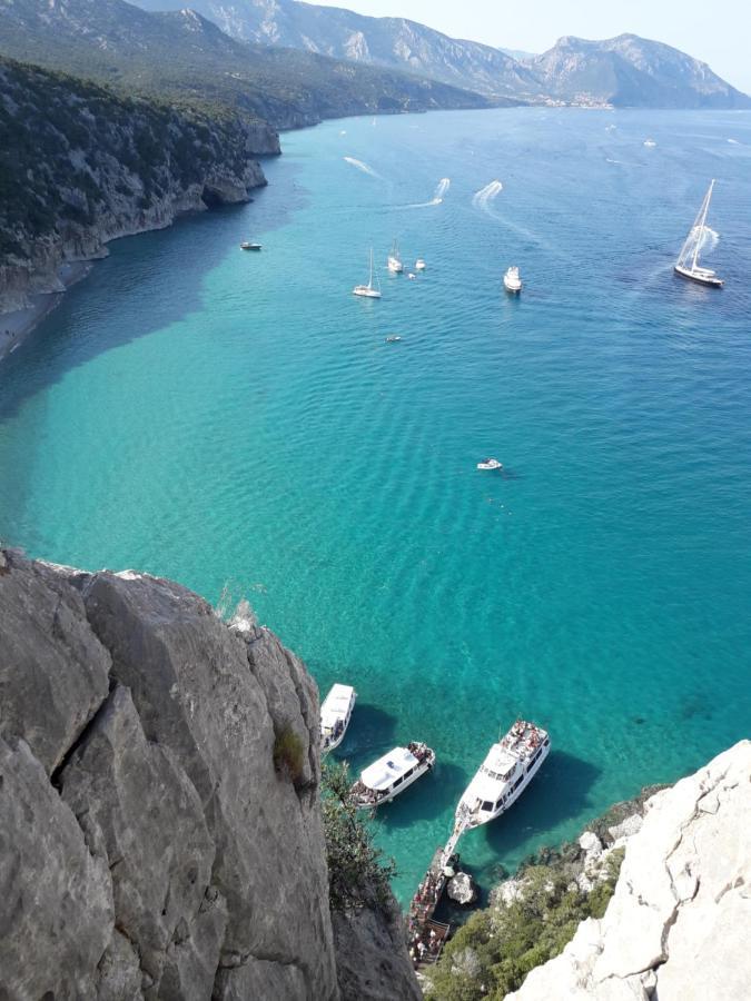 B&B Fradama' Holiday Dorgali Εξωτερικό φωτογραφία