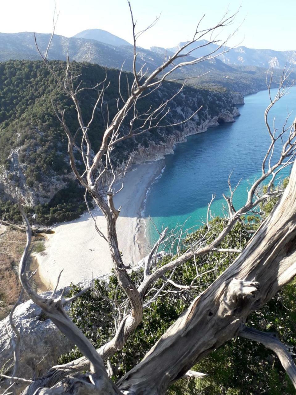 B&B Fradama' Holiday Dorgali Εξωτερικό φωτογραφία