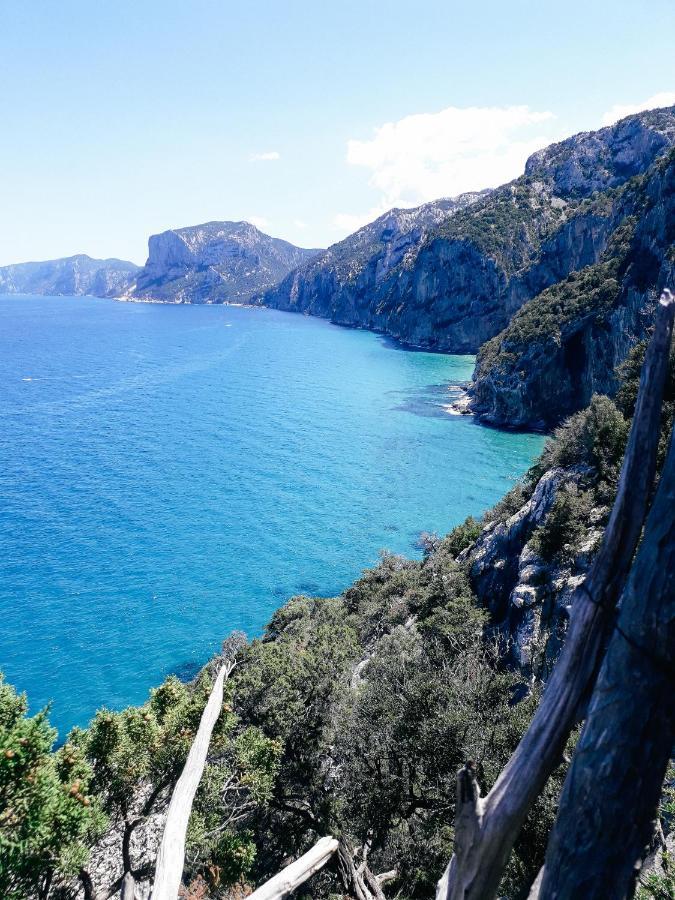 B&B Fradama' Holiday Dorgali Εξωτερικό φωτογραφία