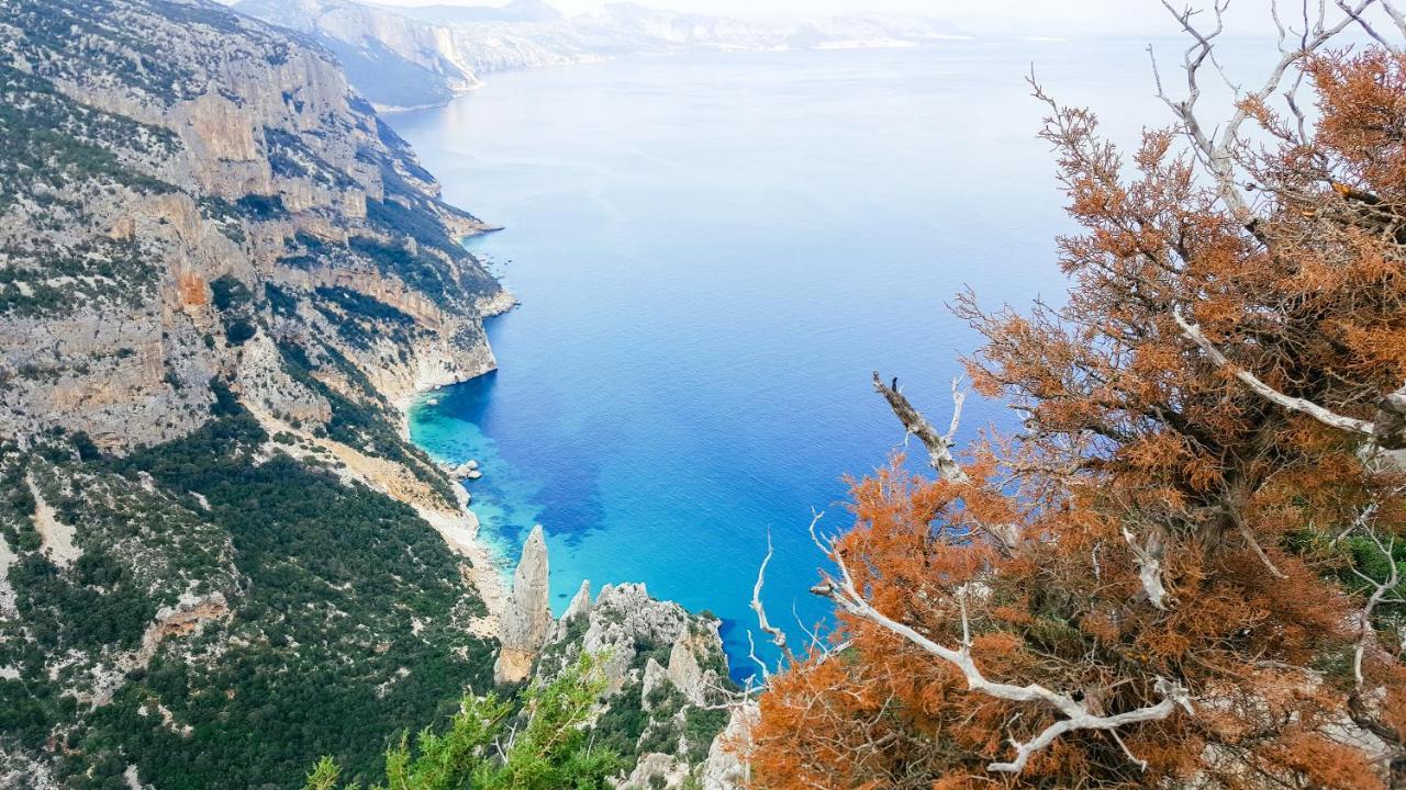 B&B Fradama' Holiday Dorgali Εξωτερικό φωτογραφία